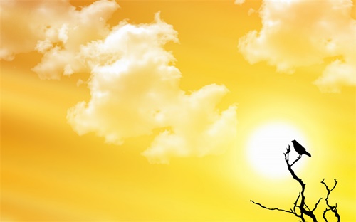 最准免费财运测试(今年财运测试免费)